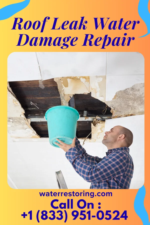 Roof Leak Water Damage Repair in Rockdale, TX
